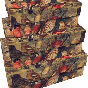 SET 3 CAJAS DE CARTÓN PÁJAROS DE CAZA: Tres cajas rectangulares apilables decoradas con ilustraciones coloridas de diversas especies de pájaros.