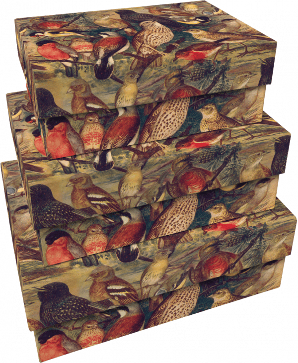 SET 3 CAJAS DE CARTÓN PÁJAROS DE CAZA: Tres cajas rectangulares apilables decoradas con ilustraciones coloridas de diversas especies de pájaros.
