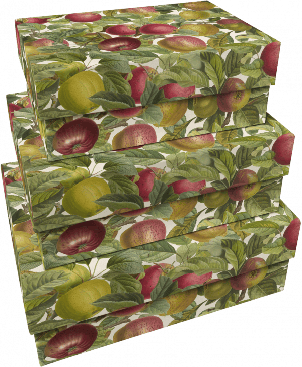Un conjunto de tres cajas rectangulares llamadas SET 3 CAJAS MANZANAS, decoradas con un colorido patrón de frutas y hojas protagonizado por manzanas y peras.
