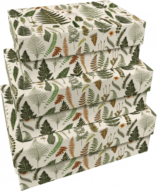 Tres cajas de cartón rectangulares apiladas, cada una recubierta de papel de regalo blanco con un estampado de hojas de helecho verde y marrón. Nombre del producto: SET DE 3 CAJAS DE CARTÓN HELECHOS.