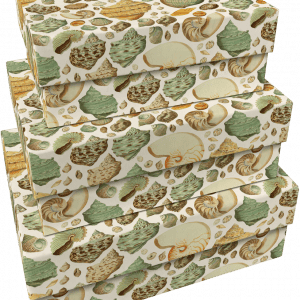 El SET 3 CAJAS CONCHAS DE MAR incluye tres cajas rectangulares apiladas entre sí, cada una cubierta de papel estampado con ilustraciones de conchas de mar en tonos verdes, marrones y beige.