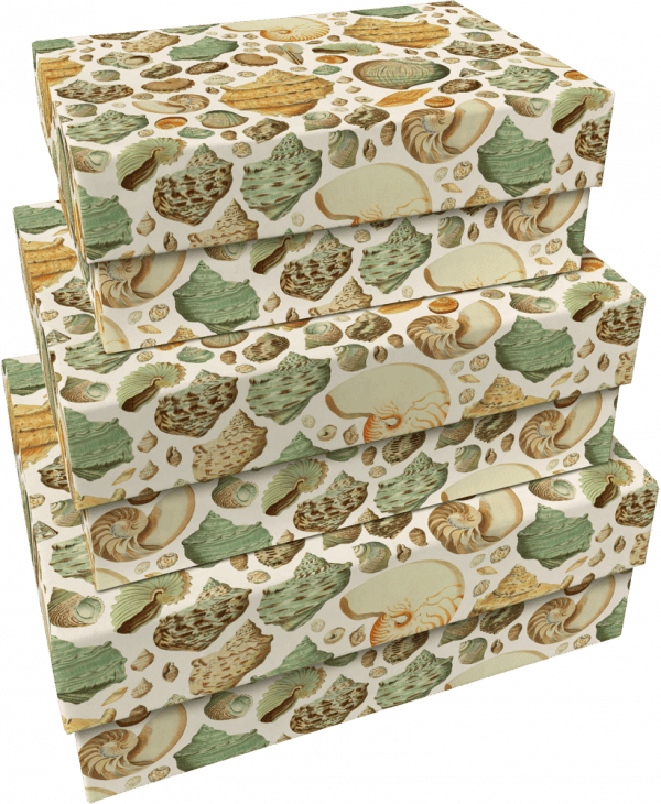 El SET 3 CAJAS CONCHAS DE MAR incluye tres cajas rectangulares apiladas entre sí, cada una cubierta de papel estampado con ilustraciones de conchas de mar en tonos verdes, marrones y beige.