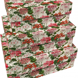 SET 3 CAJAS GERANIOS