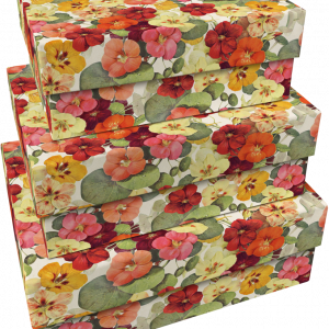 SET 3 CAJAS CAMPANILLAS COLORES