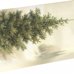 Jabón aroma 200g Bosque