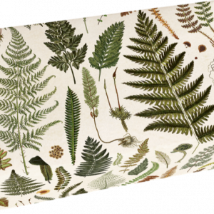 Jabón aroma 200g Bosque