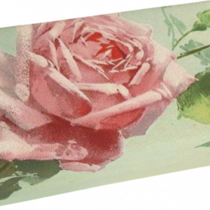 Jabón aroma 200g Rosas