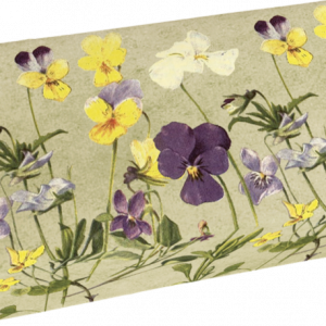 Jabón aroma 200g Violetas