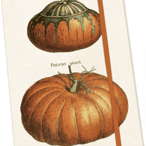Notebook Calabaza