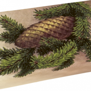 Jabón aroma 200g Bosque