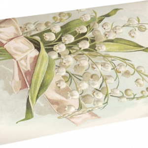 Jabón aroma 200g Lirios de los valles