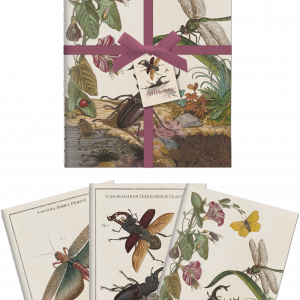 Notebook Insectos
