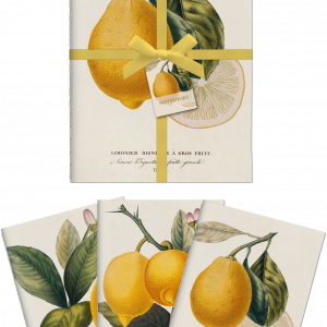 Notebook Lemon
