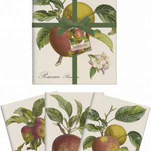 Notebook Manzanas