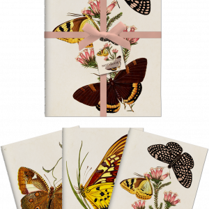 Notebook Mariposas