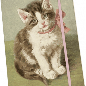 Notebook Gato