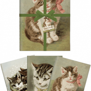 Notebook Gatitos