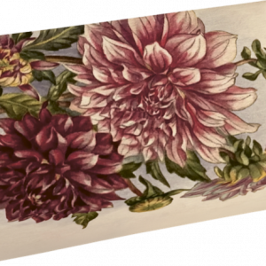 Jabón aroma 200g Rosas